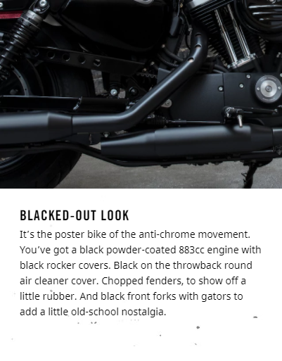 2018 Harley-Davidson Iron 883™ Blacked-out look