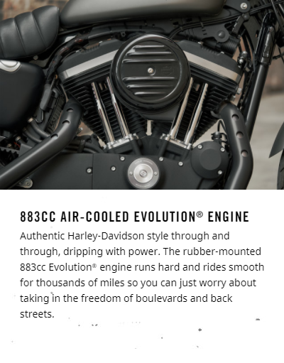 2018 Harley-Davidson Iron 883™ 883CC air-cooled evolution engine