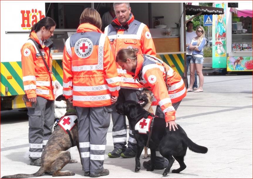 MAS Community Spotlight Grafenwoehr Grand Opening Military AutoSource