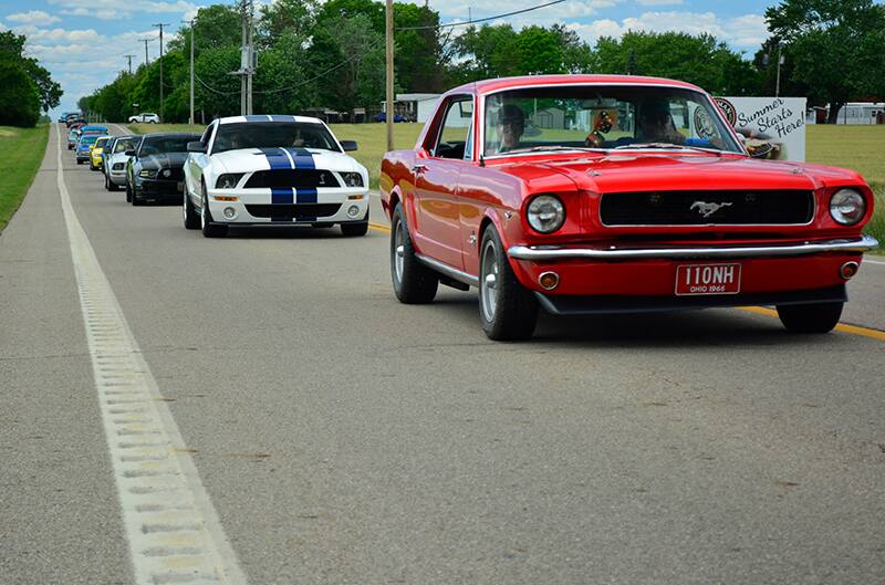 Mustangs Driving Down Street