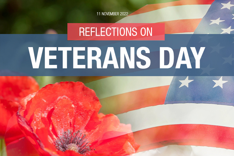 Reflections on Veterans Day